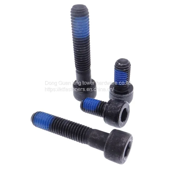 CRANK ARM BOLT FOR EXCESS LSP CRANK Bolt M5x25x0.8 Hex Socket Thread Locker