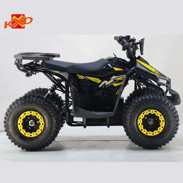 KXD Moto Electric Atv Quad Bikes ATV-003E 48V 1000W off Load Vehicle photo-5