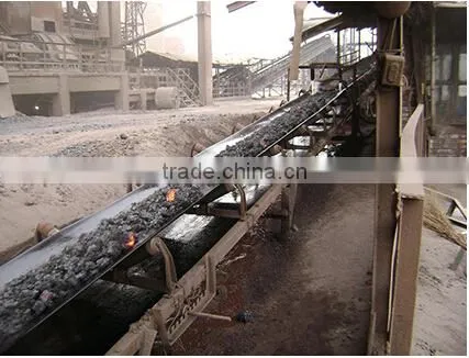 Chemical Resistant Conveyor Belt China Supplier photo-2