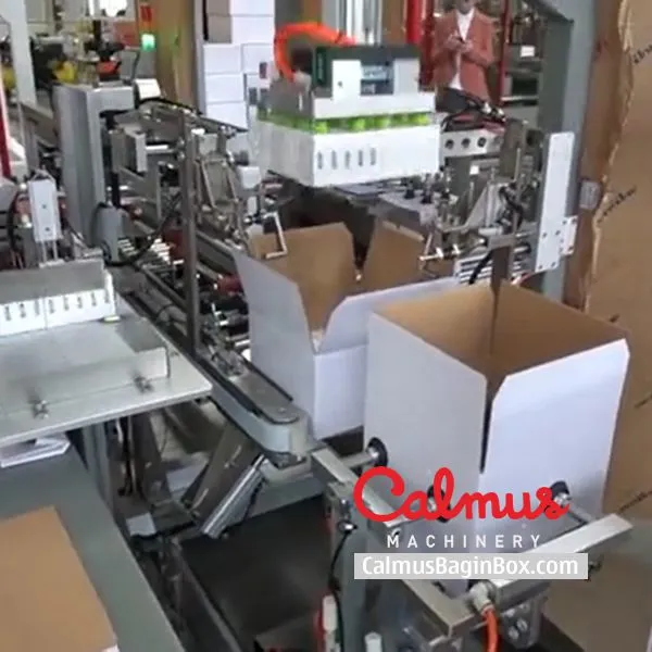 Form-Insert-Seal Case Packer Monoblock Cartoning Machine photo-3
