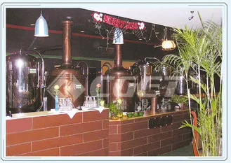 Copper Fermentation Tanks for Microbreweries - 5bbl 10bbl 15bbl 20bbl Capacity Options photo-2