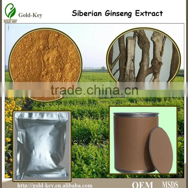 100% Natural Siberian Ginseng Extract,Siberian Ginseng Extract 0.8%/1.2% Eleutheroside B+E,0.8%/1.2% Eleutheroside B+E' photo-4