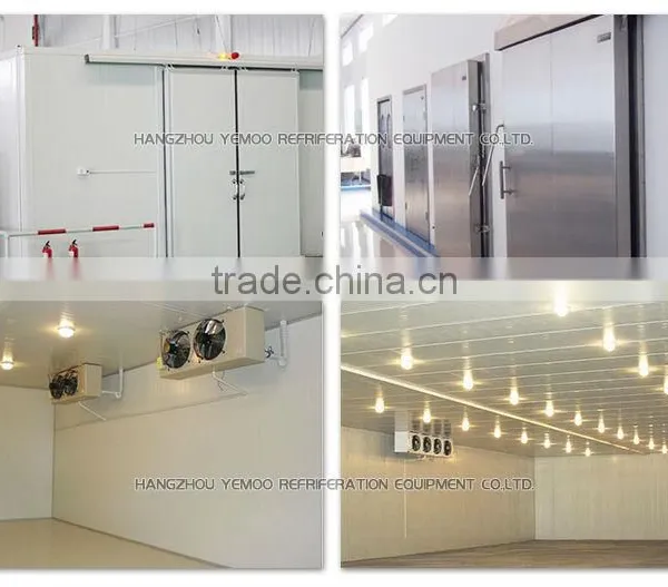 Zhejiang Hangzhou Yemoo Industrial Upright Commercial Freezer Price photo-2