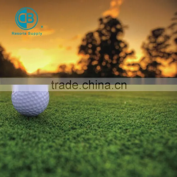 High Quality White Color Golf Ball photo-3