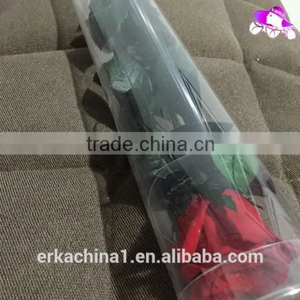 Natural Preserved Roses With Stems photo-4