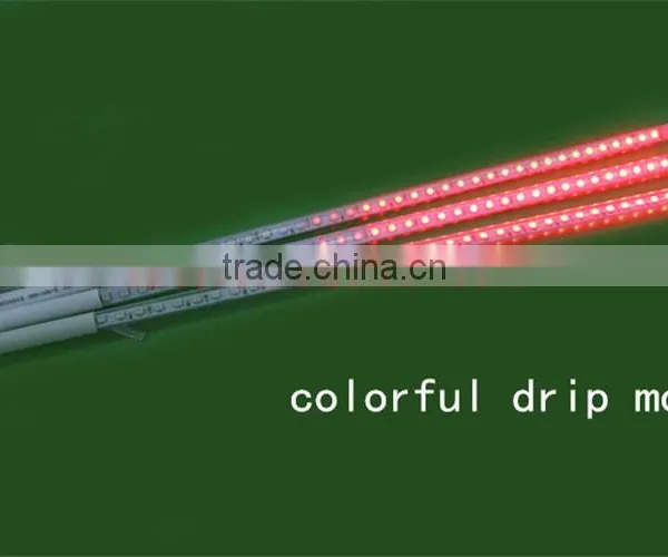 2016 REALLY Hot Selling Christmas 3d Disco Smd5050 Programmable Led Christmas Lights photo-3