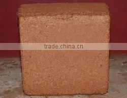 Organic Coco Peat Block