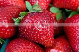 FRESH STRAWBERRY