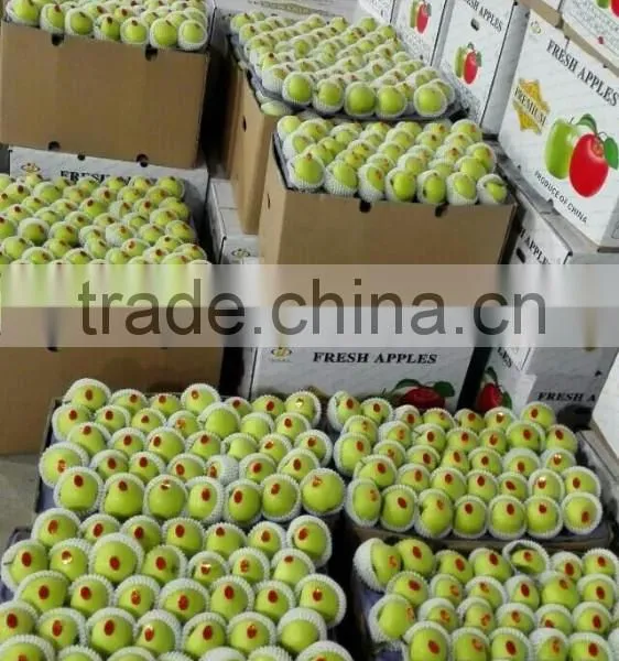Green Gaga Apple photo-3