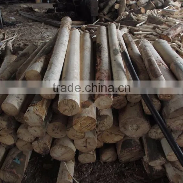 Acacia Inner Player Making Plywood photo-2