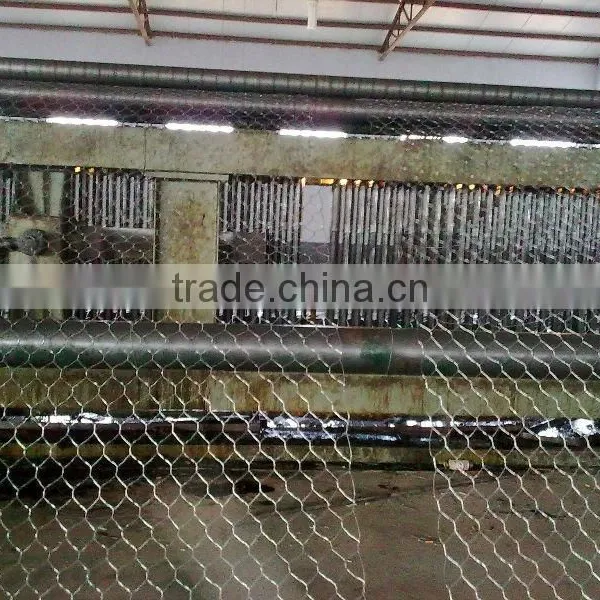 2013top Sales Pvc Coated and Galvanized Hexagonal Wire Mesh( Original Manufacturer With Best Price) photo-3