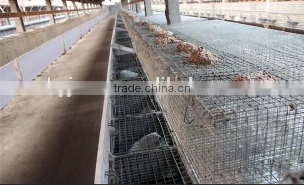 Animal Cage Mink Cage For Sale photo-6