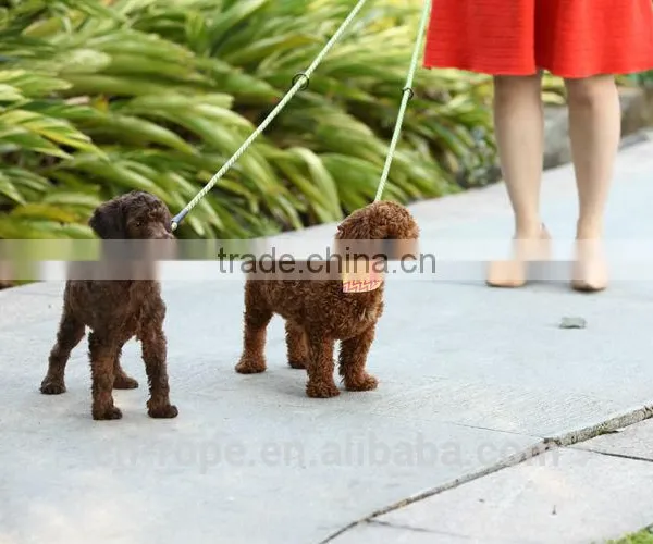 PP Braided Rope Used for Pet photo-2