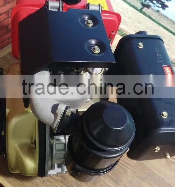 Kama Type Diesel Engine, Italy Type Diesel Engine ,small Diesel Engine (YL186FA) photo-5