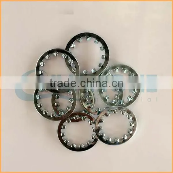 China Professional Manufacturing Internal Lock Washer photo-5