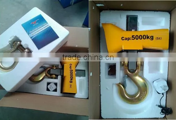 OCS Hanging Weighing Scale | Crabe Scale photo-2
