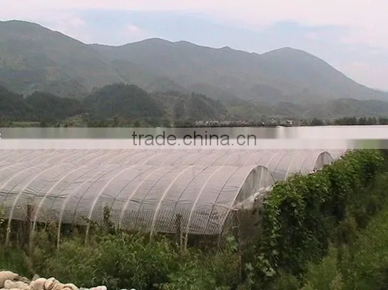 pp Spun Bond Nonwoven Fabric Polypropylene for for Agriculture Usage Cover photo-4