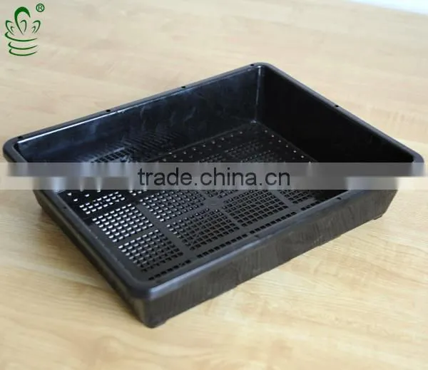 Plastic Tray Without Holes Seedling Wholesale photo-3