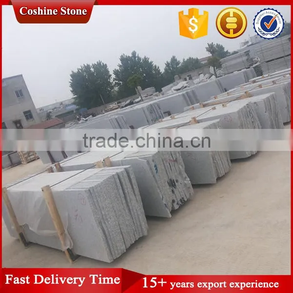 Polished China Light Grey New G603 Granite On Promotion photo-6