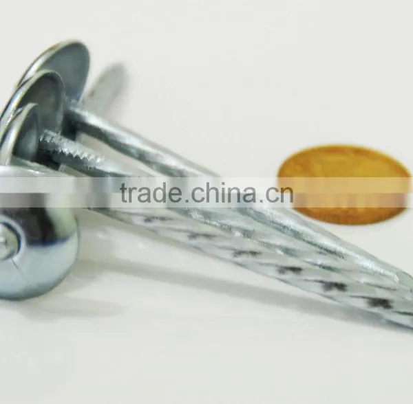 Zinc Roofing Nails for Kenya Market photo-5