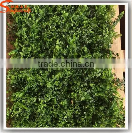 Latest Design Popular Modular Green Wall Vertical Garden Plastic Vertical Green Wall for Hotel or Home Decoration photo-5