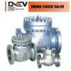 Swing Check Valve