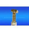 T Bolt
