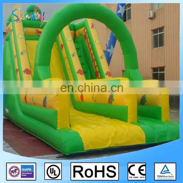 Inflatable Jumping Bouncer Slide / Jumping Castles Inflatable Water Slides Made In China photo-2