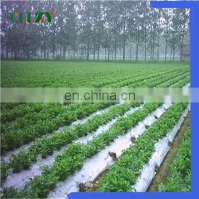 China Factory Pla Biodegradable Material for Good Using photo-5