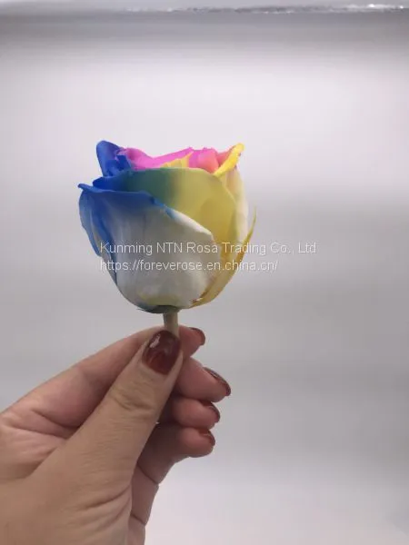 Preserved Rose Preserved Flowers Dried Flowers Birthday Valentine Party Wedding photo-2
