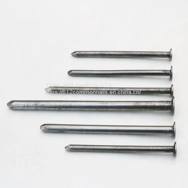 7.2mm Head Size Low Price Common Polished Nails photo-5