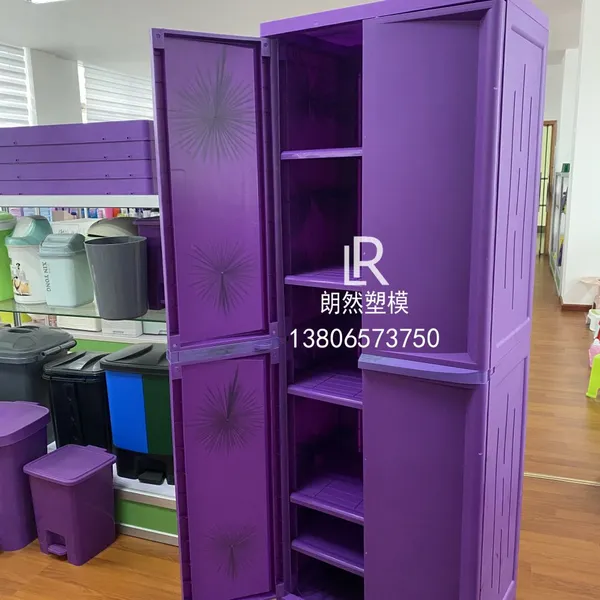 Longrange High Quality Wardrobe Mould 8613806573750