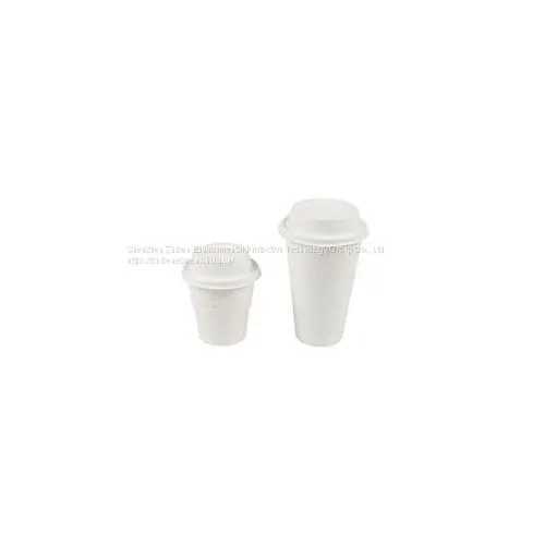 Eco Friendly Disposable Bagasse Cup