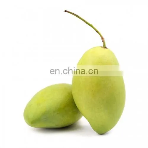 High Quality Fresh Mango Export Originating From Vietnam photo-4