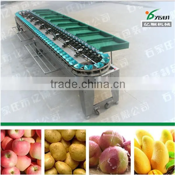 Avocado Fruit Sorting Machine photo-5