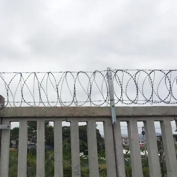 Heavy-Duty Galvanized Concertina Razor Barbed Wire - 450mm Width for Maximum Security photo-5