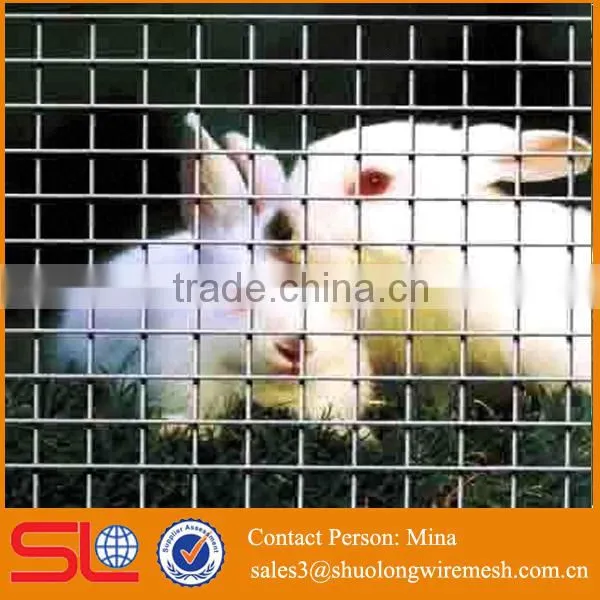 2015 ISO Certification Hot Dipped Galvanized Welded Wire Mesh Fence
