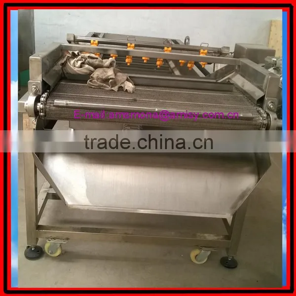 Commercial Red Date Washing Machine|Bubble Type Mushroom Washing Machine photo-4