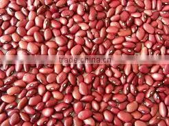 Kindey Bean