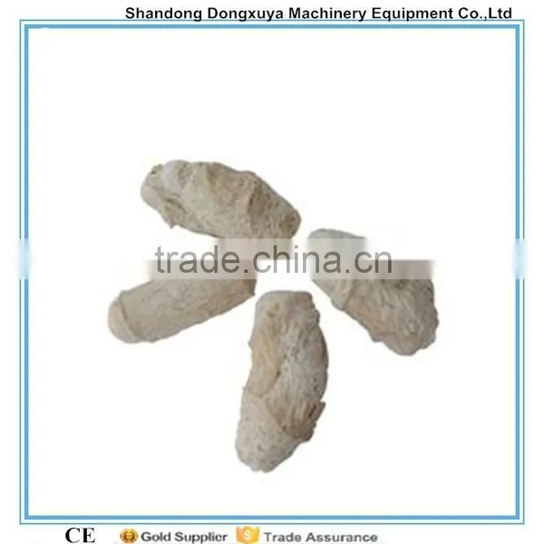 High Efficiency and Nourishing Soy Protein Making Machine/Soy Protein Isolate /Soy Protein Concentrate photo-4