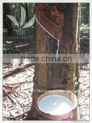 Vietnam Natural Rubber