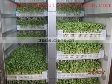 Fodder Sprouting Machine/barley Grass Growing Machine photo-2
