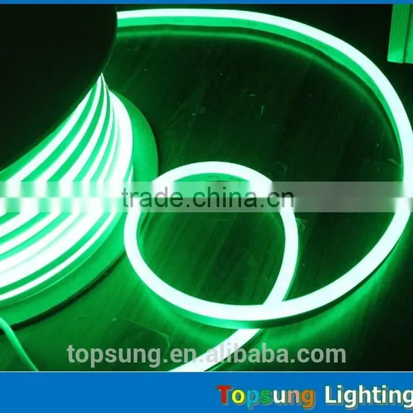 Party Decorarion 8*16mm Led Neon Flex Light for Chrismtas photo-5