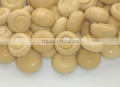Canned Food Canned Champignon Canned Mushroom/champignon photo-3