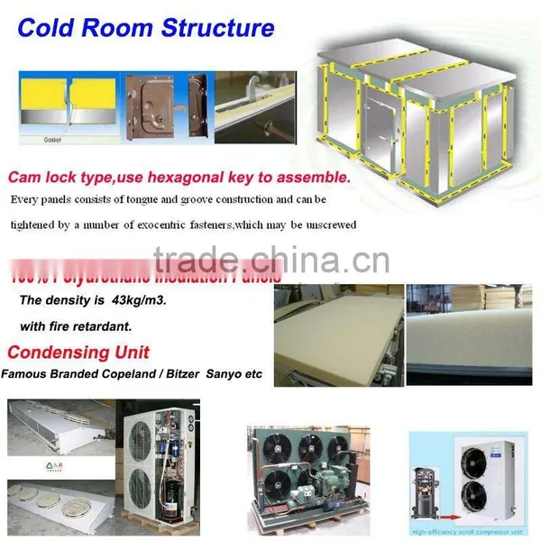 Cold Room Door With Polyurethane Insulation / PU Insulated Door photo-3