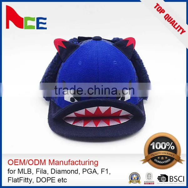 High Quality Embroidery Baseball Cap/Winter Cap