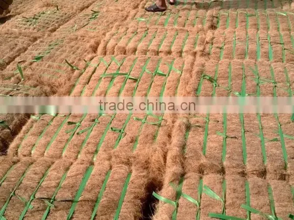 Coconut Fiber High Quality ( QQ: 2598494113) photo-3
