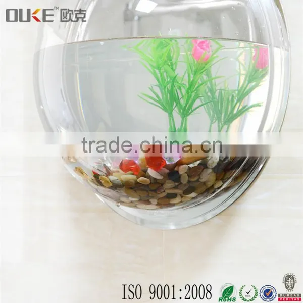 Morden Design Wall Mounted High Transparent Acrylic Fish or Plant Display Wholesale photo-3