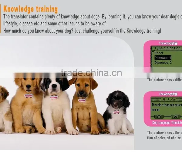 Dog Living Goods