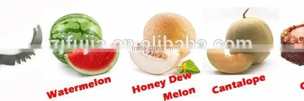 Newest Mould Stainless Steel Watermelon Slicer Cutter Corer as Seen on TV photo-6